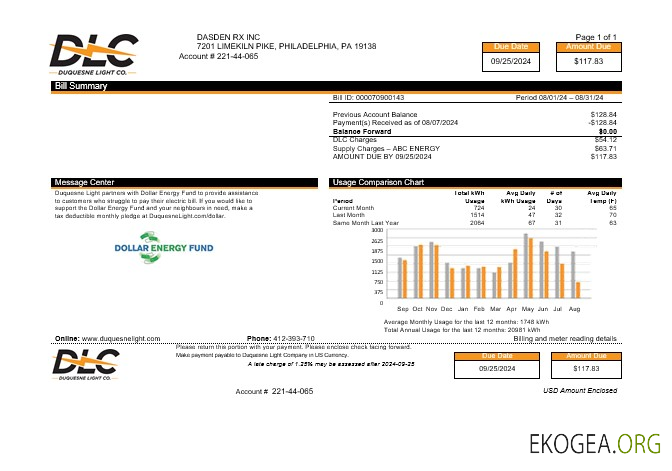 Modèle Word et PDF de facture de services publics DLC USA, version 2